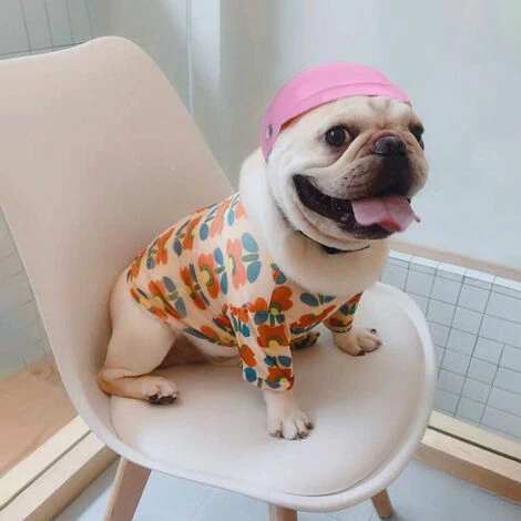 Casque Pour Chien De Compagnie Casque Pour Chien Pour Chiot Chihuahua Chiens Aveugles Motocyclettes Vélo Activités De Plein Air Pour Protéger La Tête Protection Contre Le Soleil Et La Pluie Fourniture – Image 3