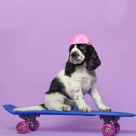 Casque Pour Chien De Compagnie Casque Pour Chien Pour Chiot Chihuahua Chiens Aveugles Motocyclettes Vélo Activités De Plein Air Pour Protéger La Tête Protection Contre Le Soleil Et La Pluie Fourniture – Image 4