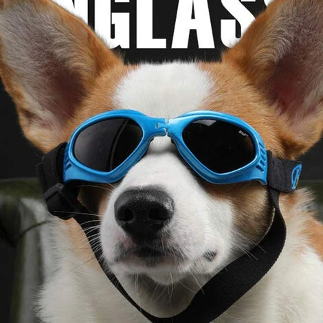 Lunettes De Soleil Pour Chien, Sangle Réglable Pour Lunettes De Soleil Uv, Protection Imperméable Pour Petits Et Moyens Chiens – Image 3