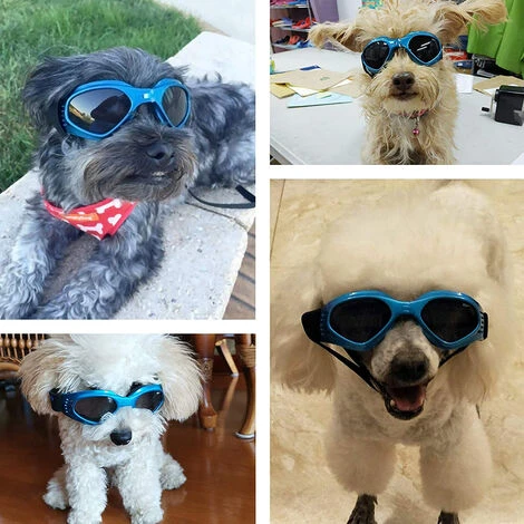 Lunettes De Soleil Pour Chien, Sangle Réglable Pour Lunettes De Soleil Uv, Protection Imperméable Pour Petits Et Moyens Chiens – Image 4