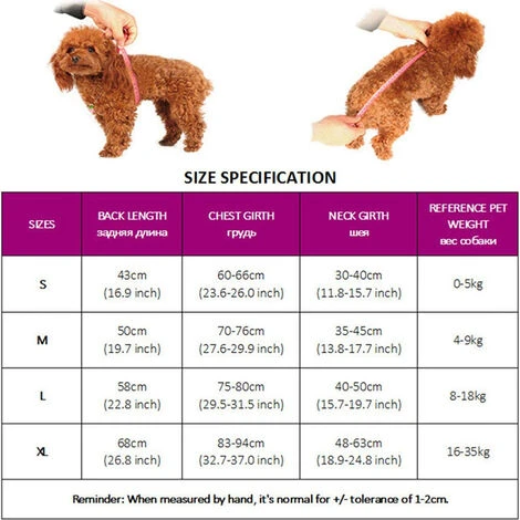 Sac À Dos Pour Chien Pour Petits Et Moyens Animaux De Compagnie Porte-Sac À Dos Pour Chien Réglable Face À L'Avant Entièrement Ventilé – Image 5