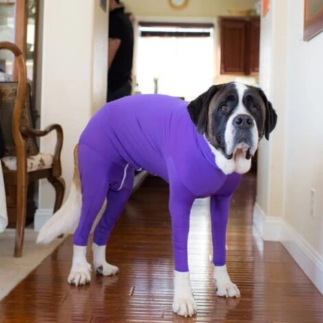 Sport Dog Onesie - Perte De Poils De Chien Pour La Maison, La Voiture, Les Voyages, L'anxiété, La Chemise Apaisante, La Protection Contre Les UV Et Les Tiques – Image 5