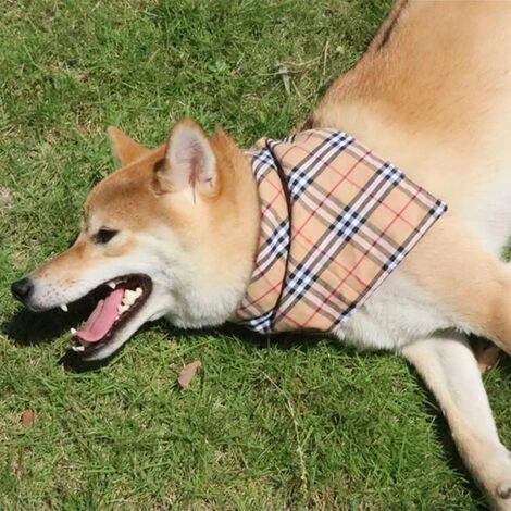 Bandana Pour Chien, Foulard Triangle En Coton Lavable Pour Chiens, Chats, Animaux De Compagnie, Accessoires Réglables – Image 4