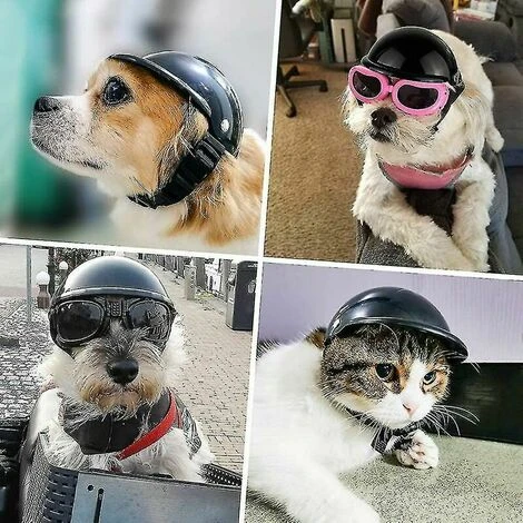 Casque De Chien Lunettes Ensemble Casque Pour Animaux De Compagnie Lunettes De Soleil Chiens Réglable Chien Moto Chapeau De Sécurité (M) – Image 3