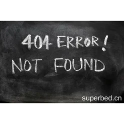 Collier De Dressage Pour Chiens Rechargeable, Portée De 800m, Avec Mode Vibration, Son, Choc Statique Et Lumière, IPX67 Résistant à L’Eau, Adapté Aux Chiens De Petites Et Moyennes Tailles