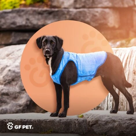 GF Pet ElastoFit Ice Vest - Gilet Réfrigérant Pour Chien- Refroidissement Pour Les Chiens- Taille S Veste De Refroidissement Longueur Du Dos 33cm- Bleu – Image 2