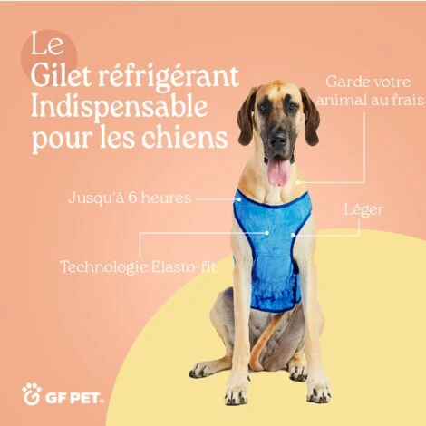GF Pet ElastoFit Ice Vest - Gilet Réfrigérant Pour Chien- Refroidissement Pour Les Chiens- Taille S Veste De Refroidissement Longueur Du Dos 33cm- Bleu – Image 3