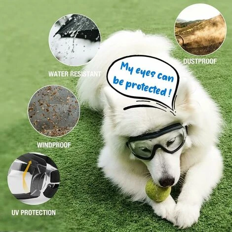 Lunettes De Chien Lunettes De Soleil Pour Animaux De Compagnie Protection Oculaire Imperméable Coupe-Vent Pour Chien De Grande Et Moyenne Taille - Clair – Image 3